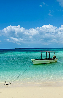 We’ll use this boat for all our trips